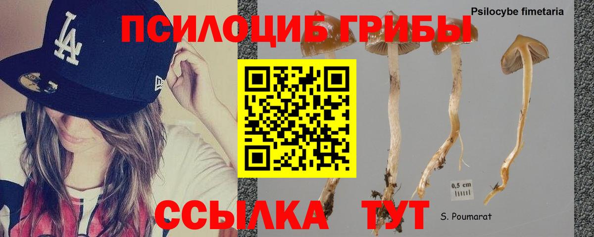 Псилоцибиновые грибы Magic Shrooms Нижнекамск