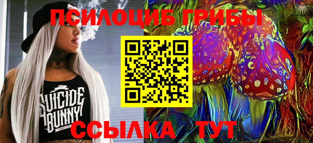 Галлюциногенные грибы Psilocybe  Вход с VPN  Нижнекамск 